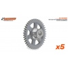 sc-1053cbp-01