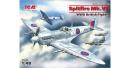 icm-48062-01
