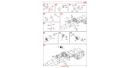 icm-53055-41