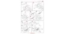 icm-35113-24