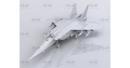 icm-48905-02