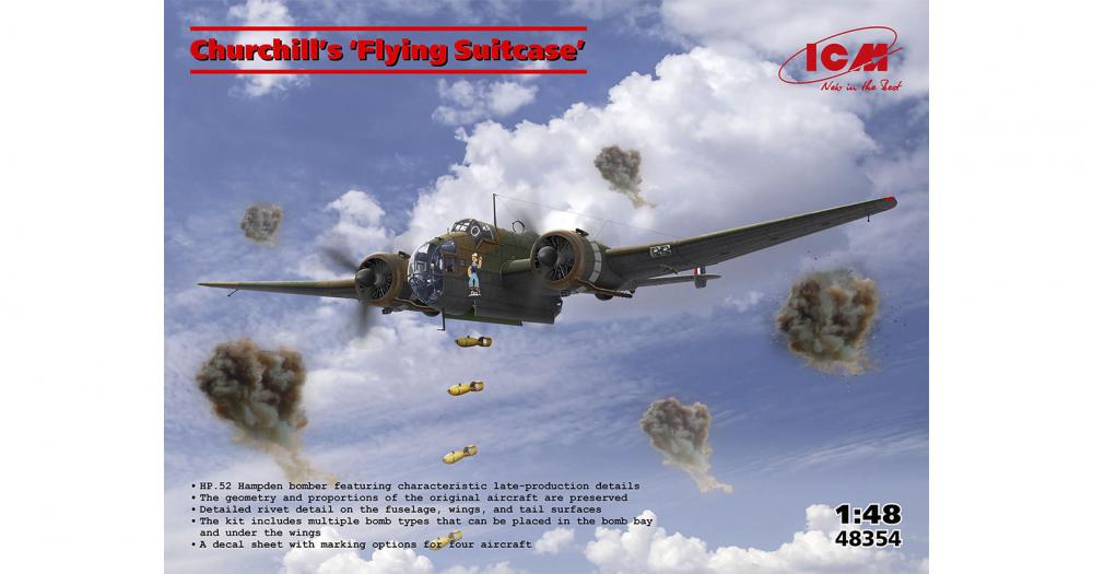 icm-48354-01