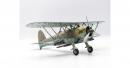 icm-32021-12