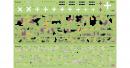 icm-35014-32
