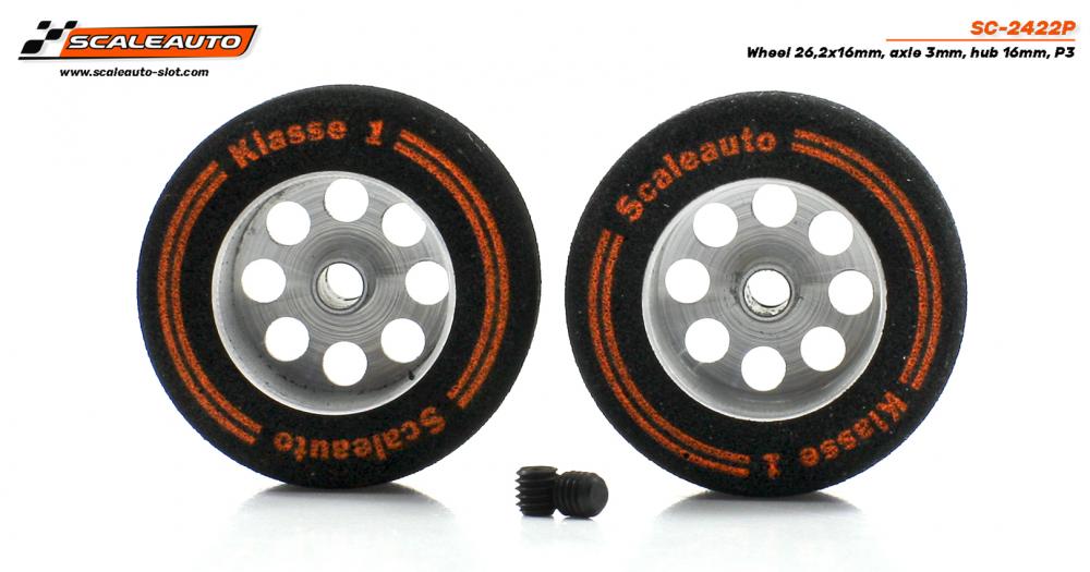 sc-2422p-01