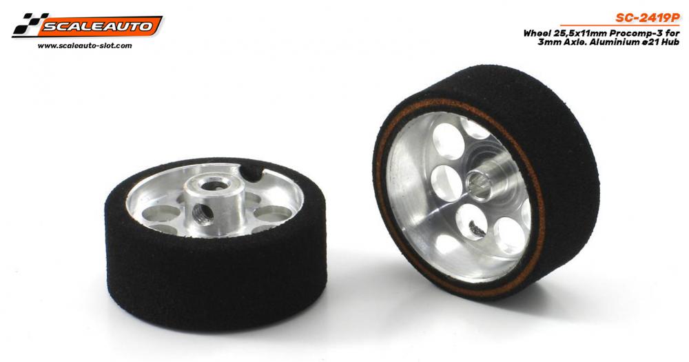 sc-2419p