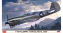 has-07516-01_999618008